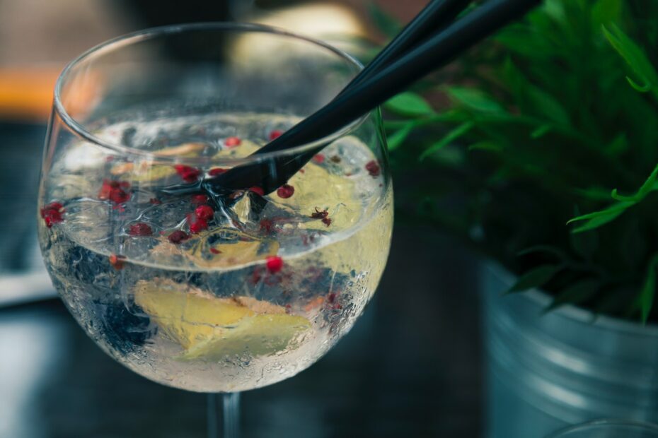 Gin Tonic Rezept